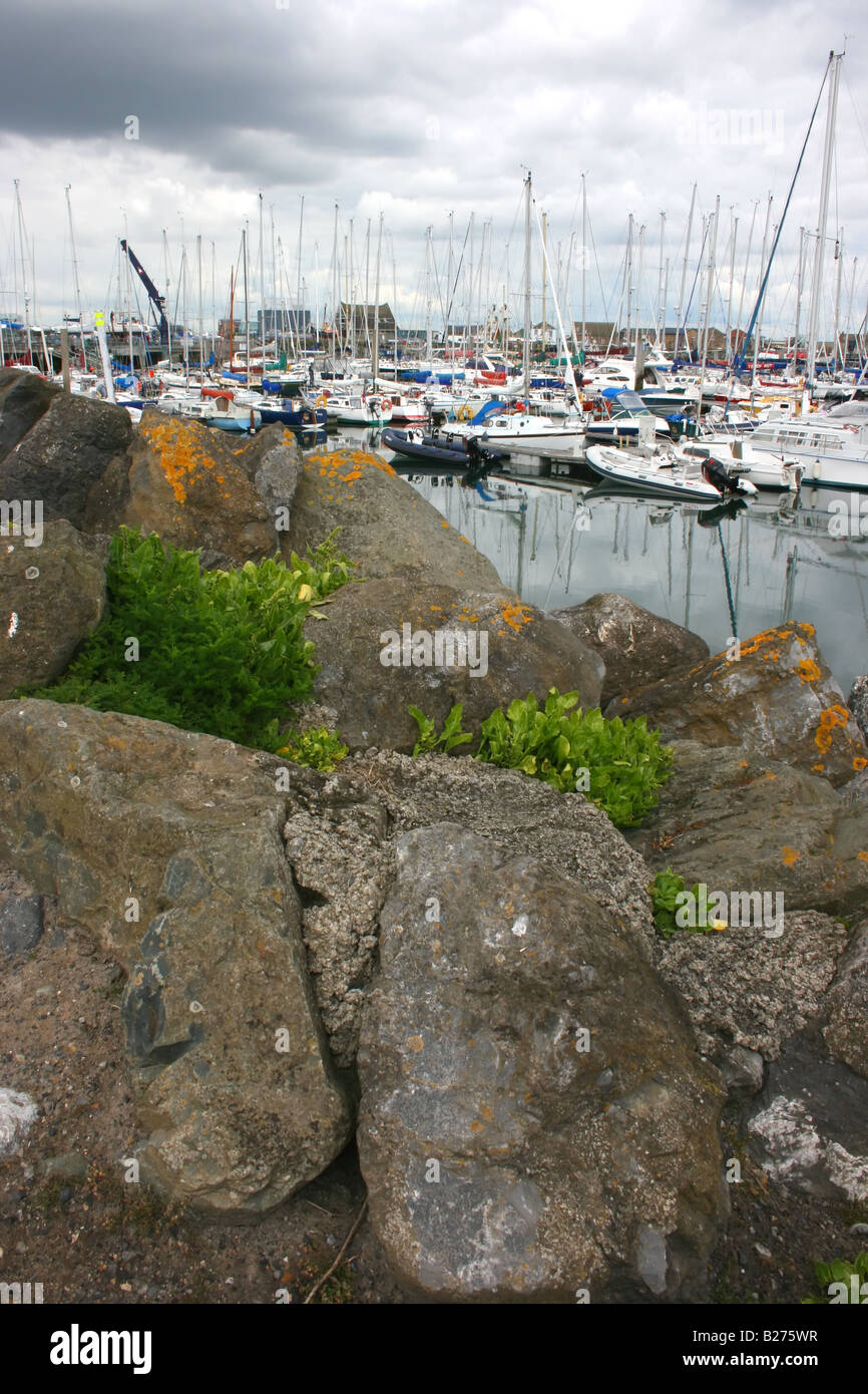 rocky waterbreak at Howth harbour Stock Photo