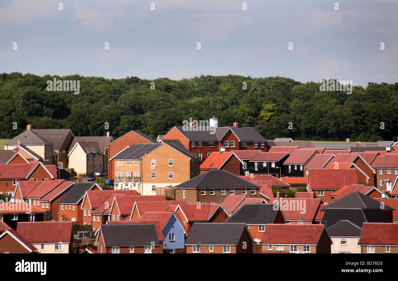 NEW BUILD HOMES ON FORMER AGRICULTURAL LAND IN HAVERHILL SUFFOLK Stock