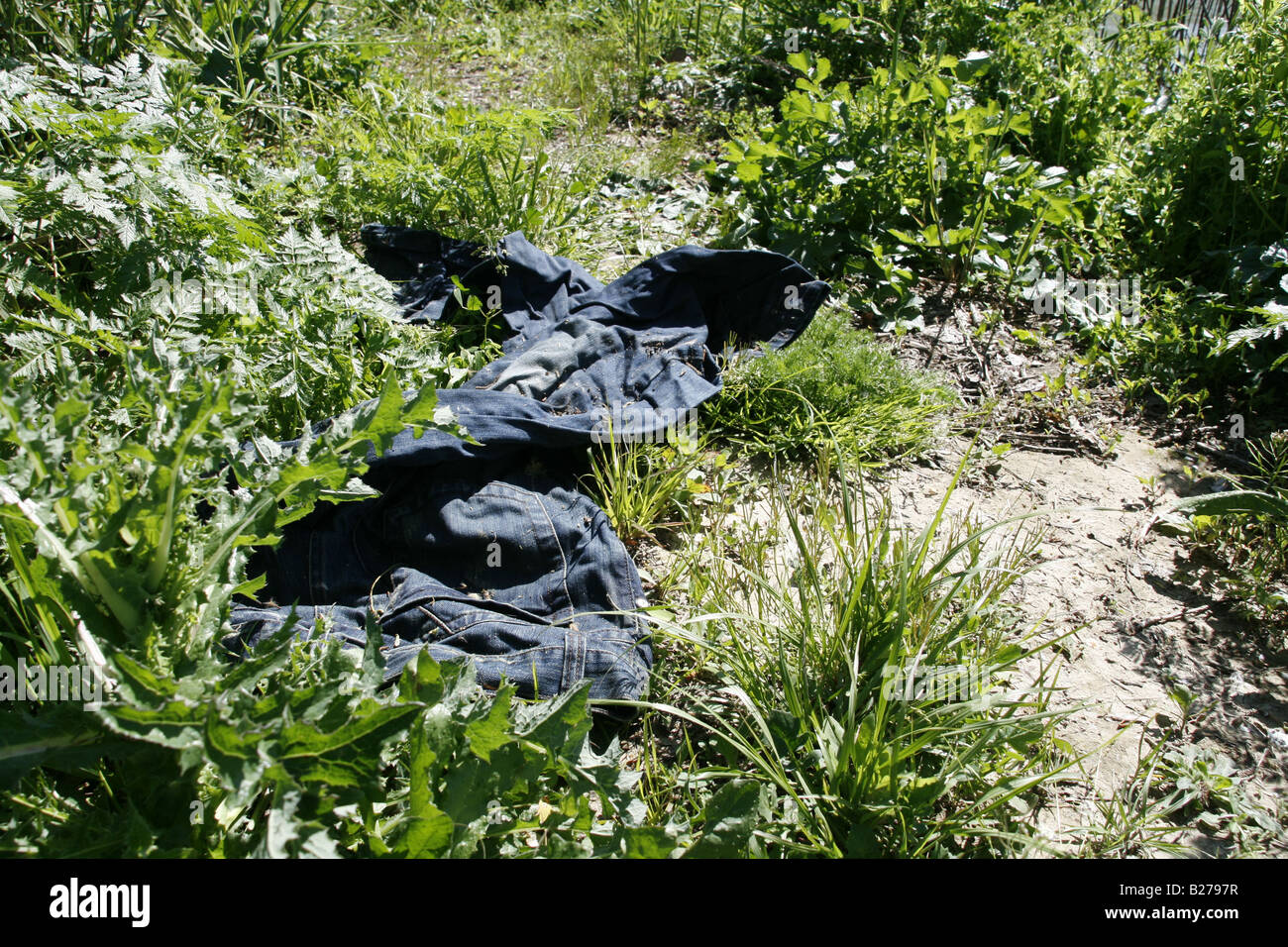 jeans discarded in undergrowth in grass field in country Stock Photo - Alamy