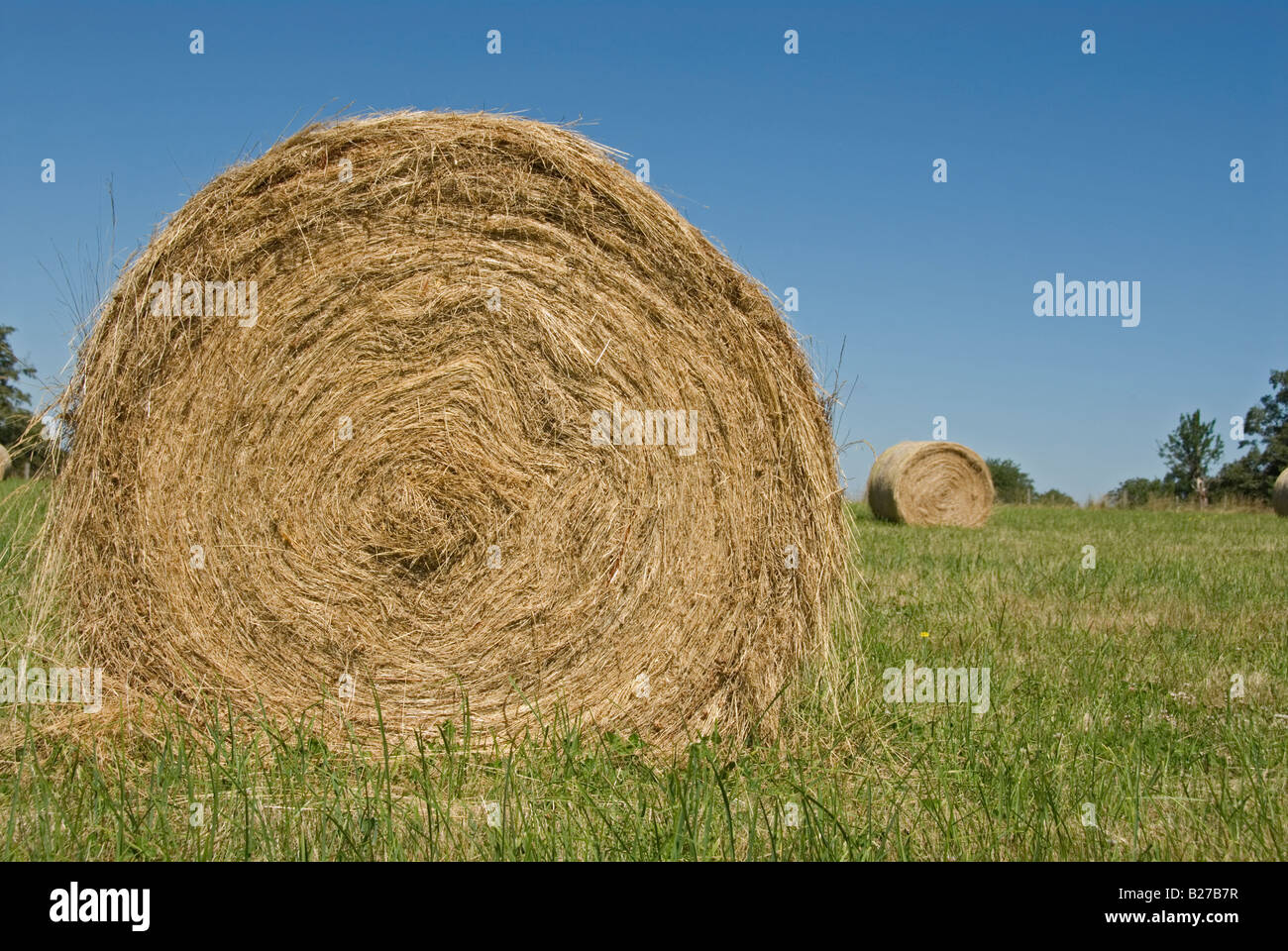 Stock photo of a round bale of hay lying in the field waiting to be ...