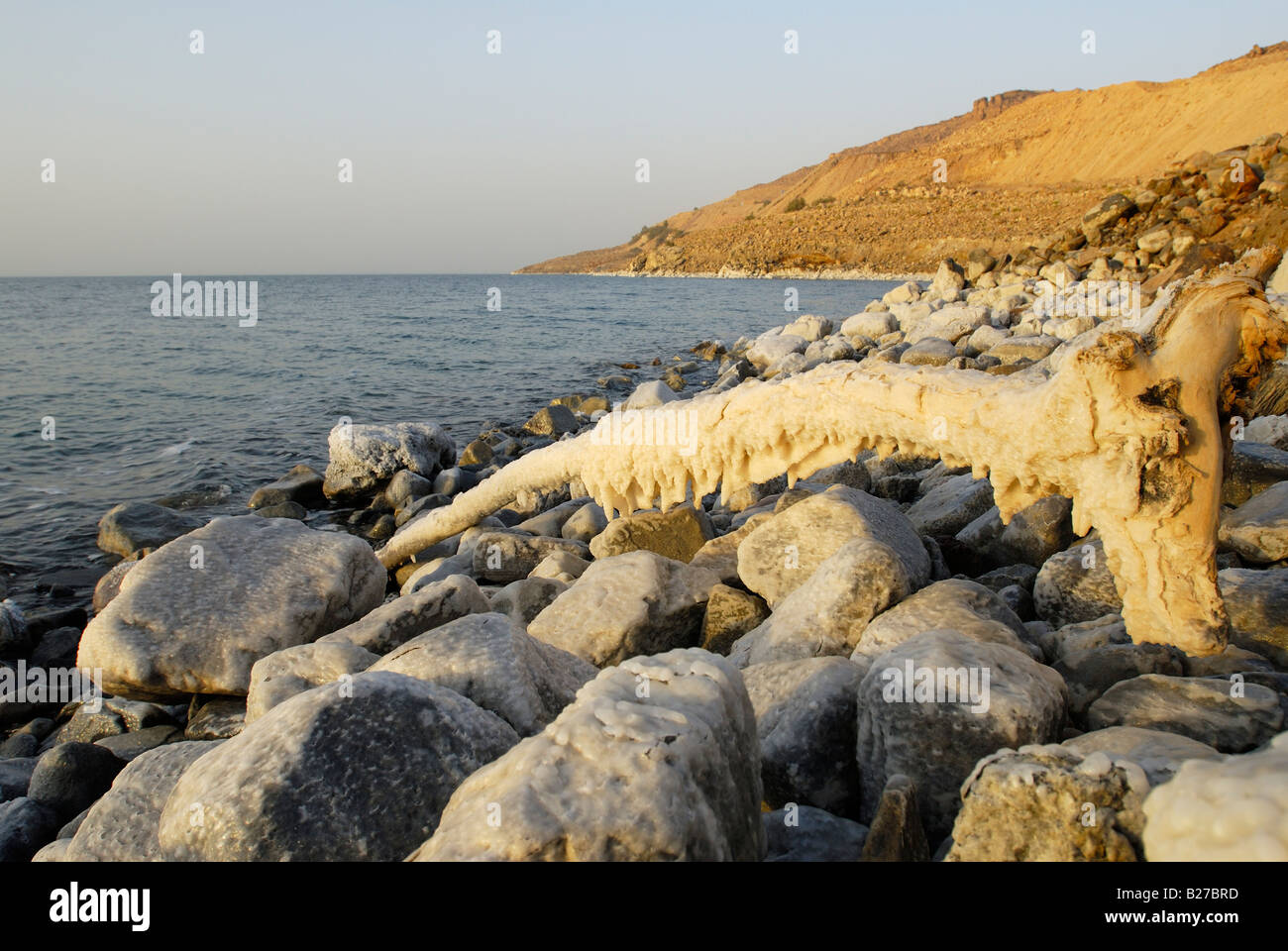 rocks and a piece of wood with salt at coastline of Dead Sea, Jordan, Arabia, lowest place on earth Stock Photo