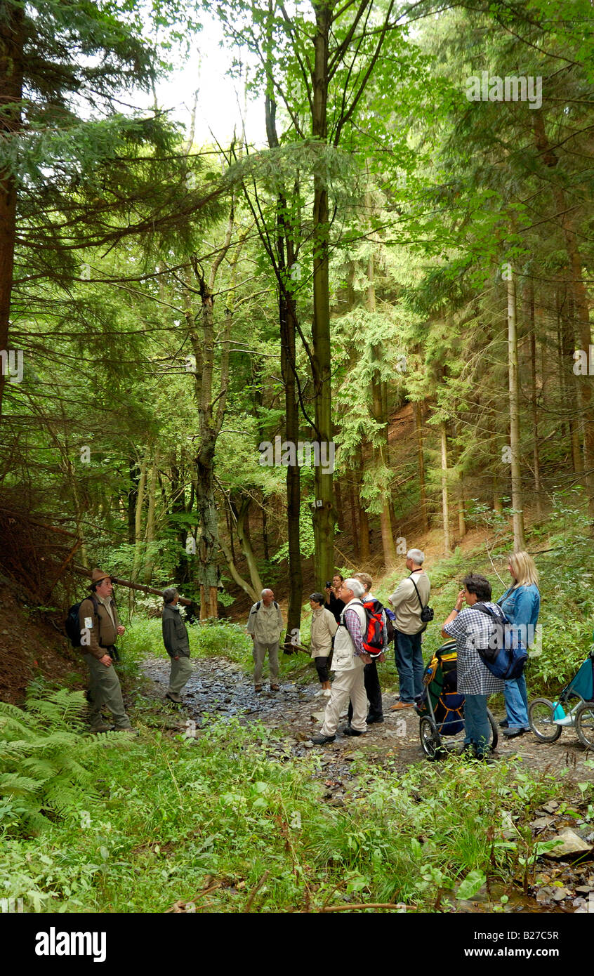 ranger with hiking group on a guided trip across National Park nature reserve Eifel, North Rhine Westphalia, Germany Stock Photo