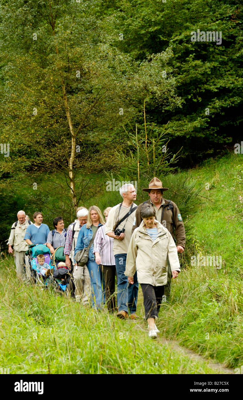 ranger with hiking group on a guided trip across National Park nature reserve Eifel, North Rhine Westphalia, Germany Stock Photo