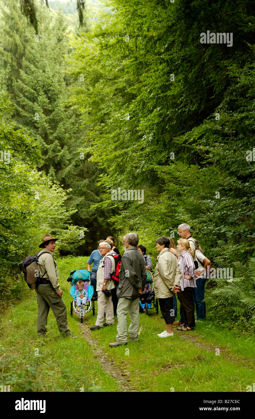 ranger with hiking group on a guided trip across National Park nature reserve Eifel, North Rhine Westphalia, Germany Stock Photo