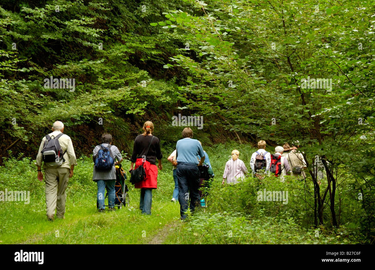 ranger with hiking group on a guided trip across National Park nature reserve Eifel, North Rhine Westphalia, Germany Stock Photo