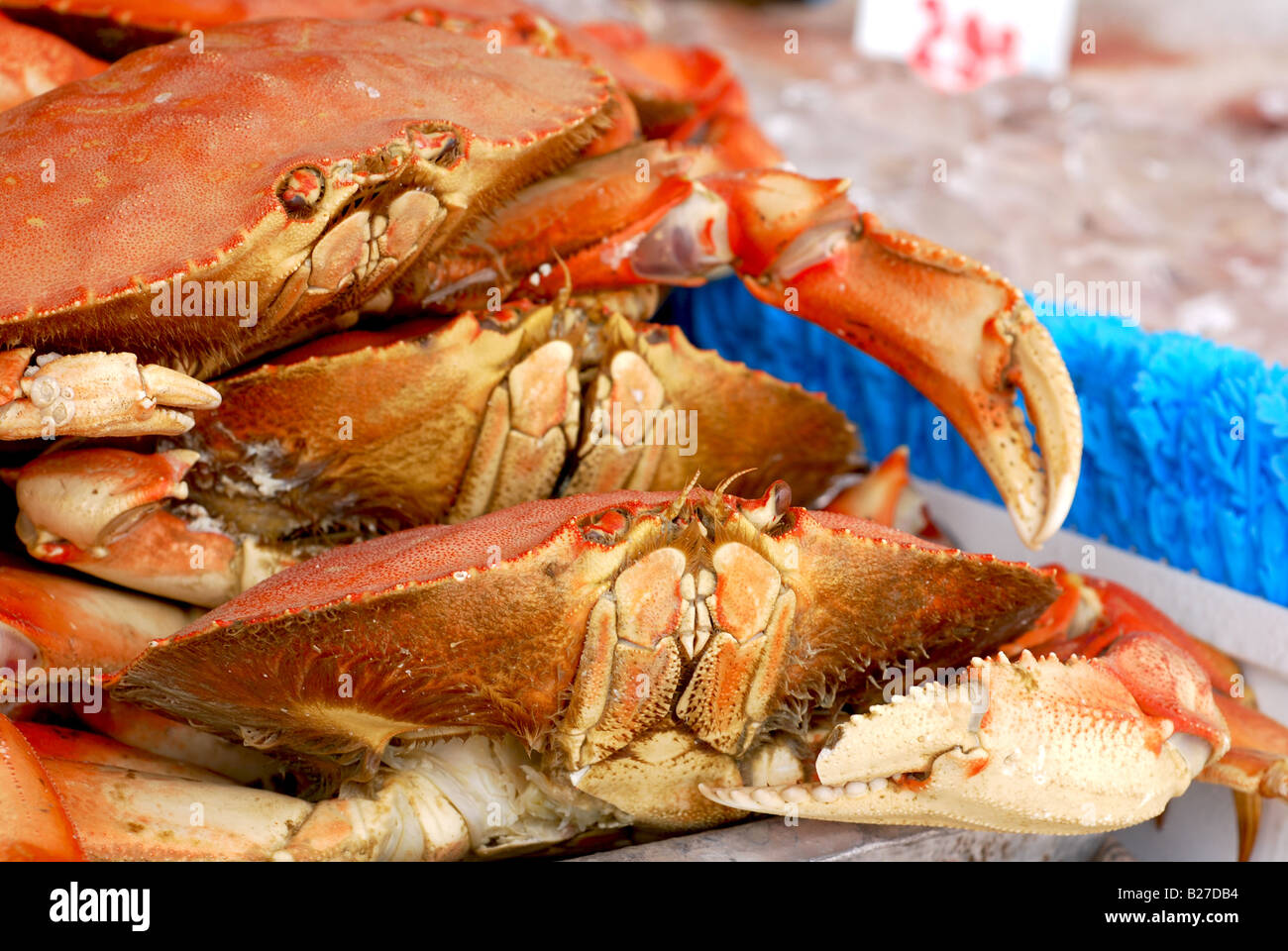 Fresh crab for sale at an outdoor fish market Stock Photo - Alamy
