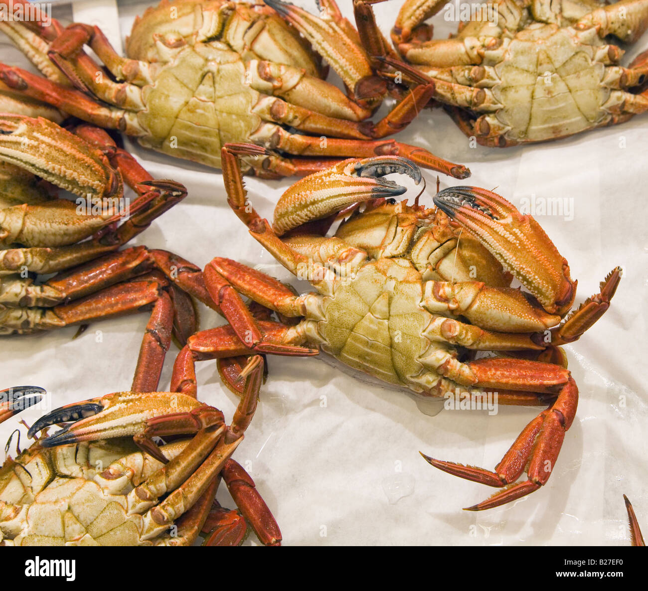 Crabs for sale on supermarket fish counter Stock Photo - Alamy