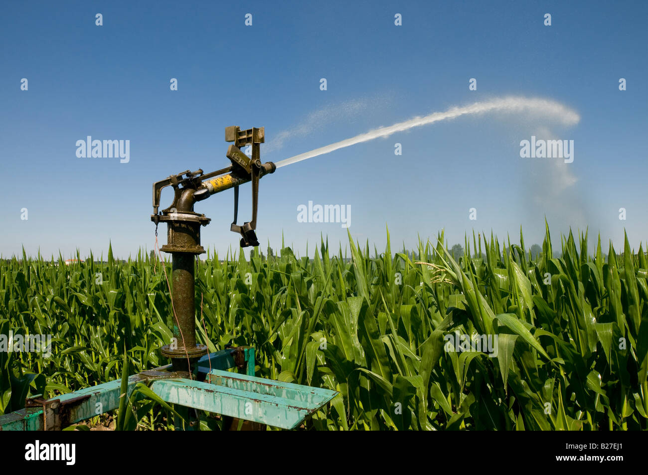 Irrigation system Maize / Sweet Corn crop, IndreetLoire, France