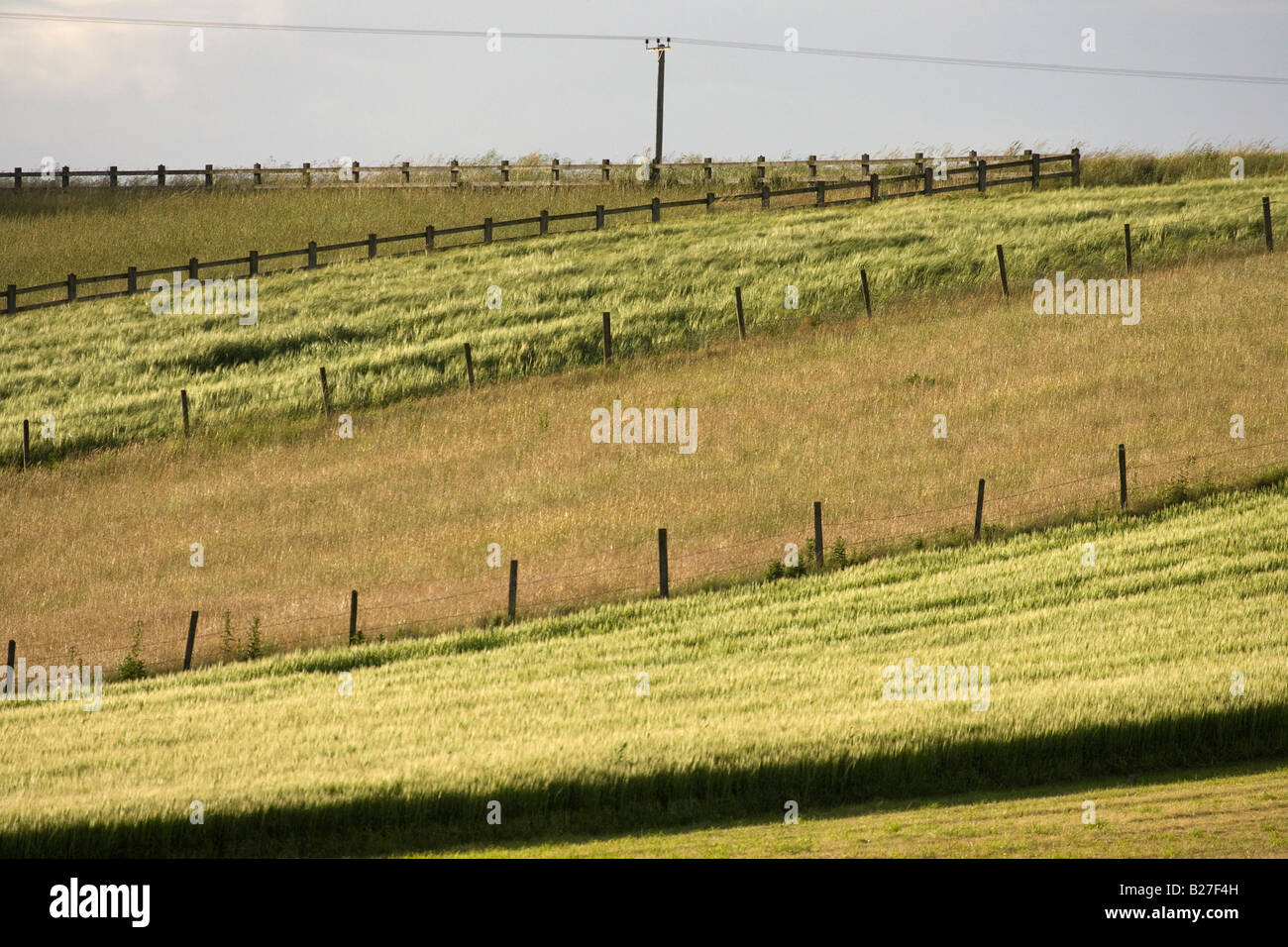 sweeping open fields Stock Photo Alamy