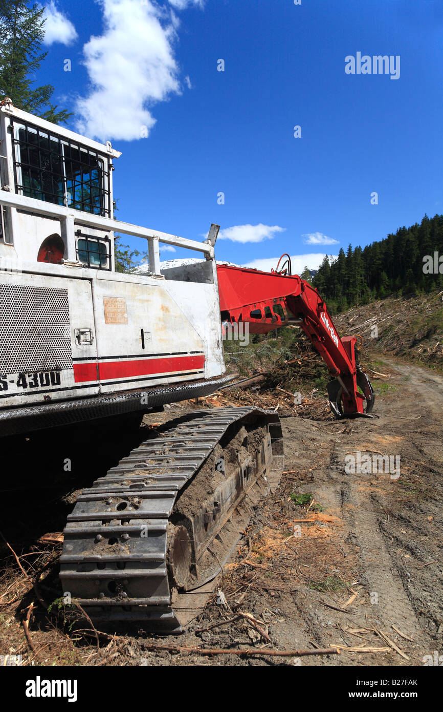 Logging operation on south side of Skeena river between Terrace and