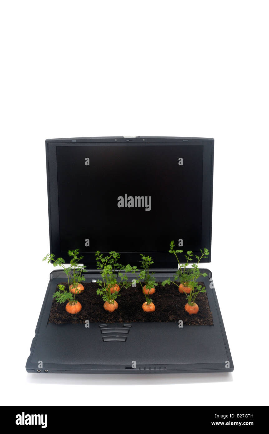 A laptop computer with carrots growing through the keyboard Stock Photo