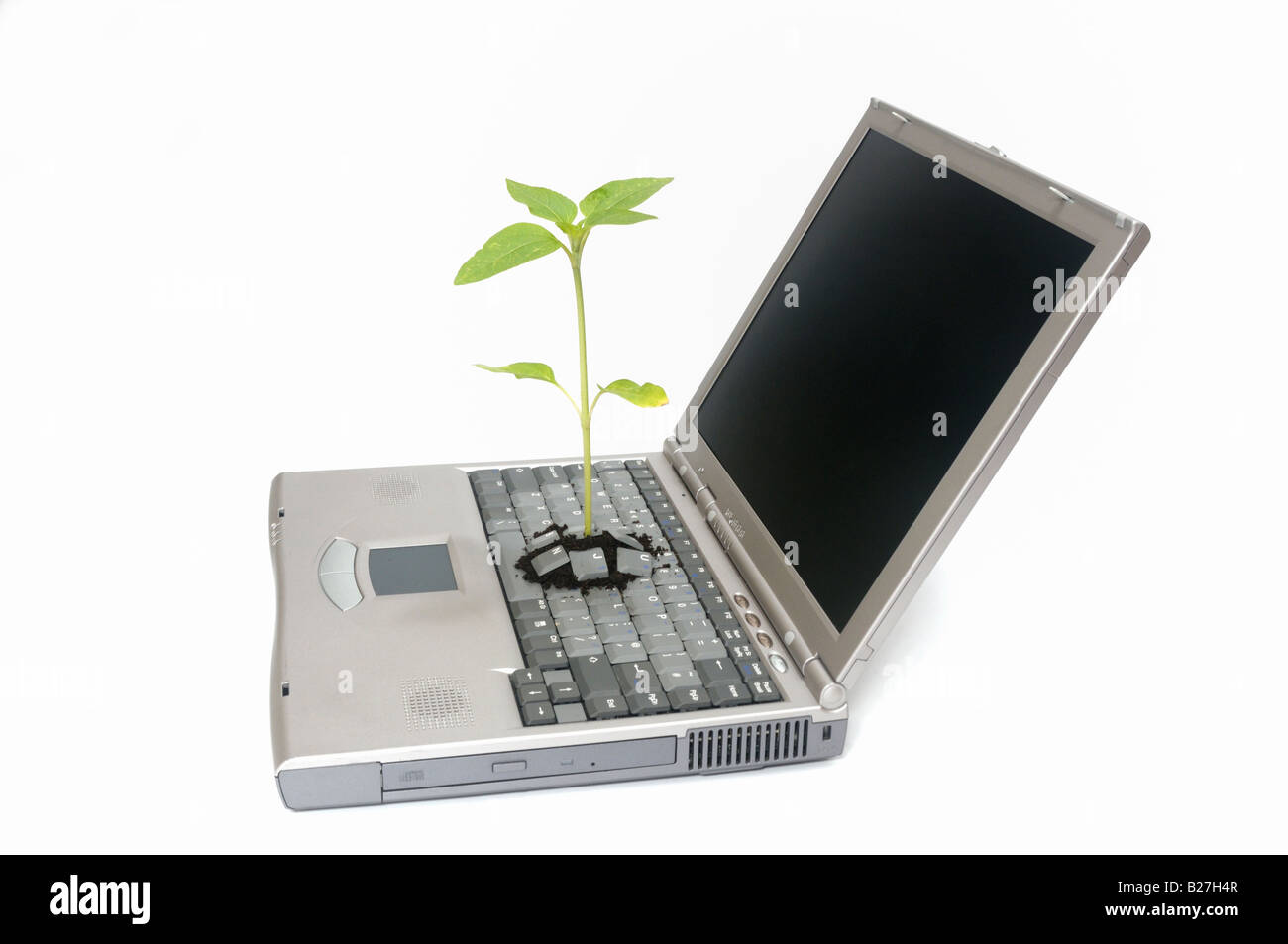 A laptop computer with a seedling growing through the keyboard Stock Photo