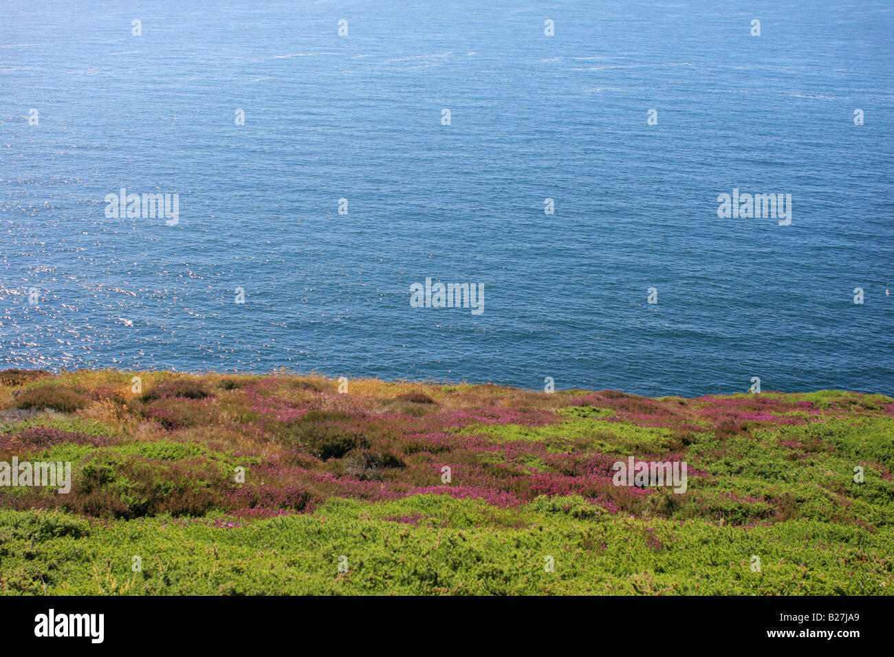 Heather isle hi-res stock photography and images - Alamy