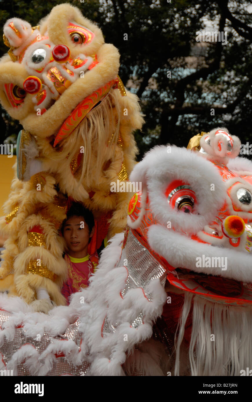 young martial art students practising lion dance, kowloon park kowloon