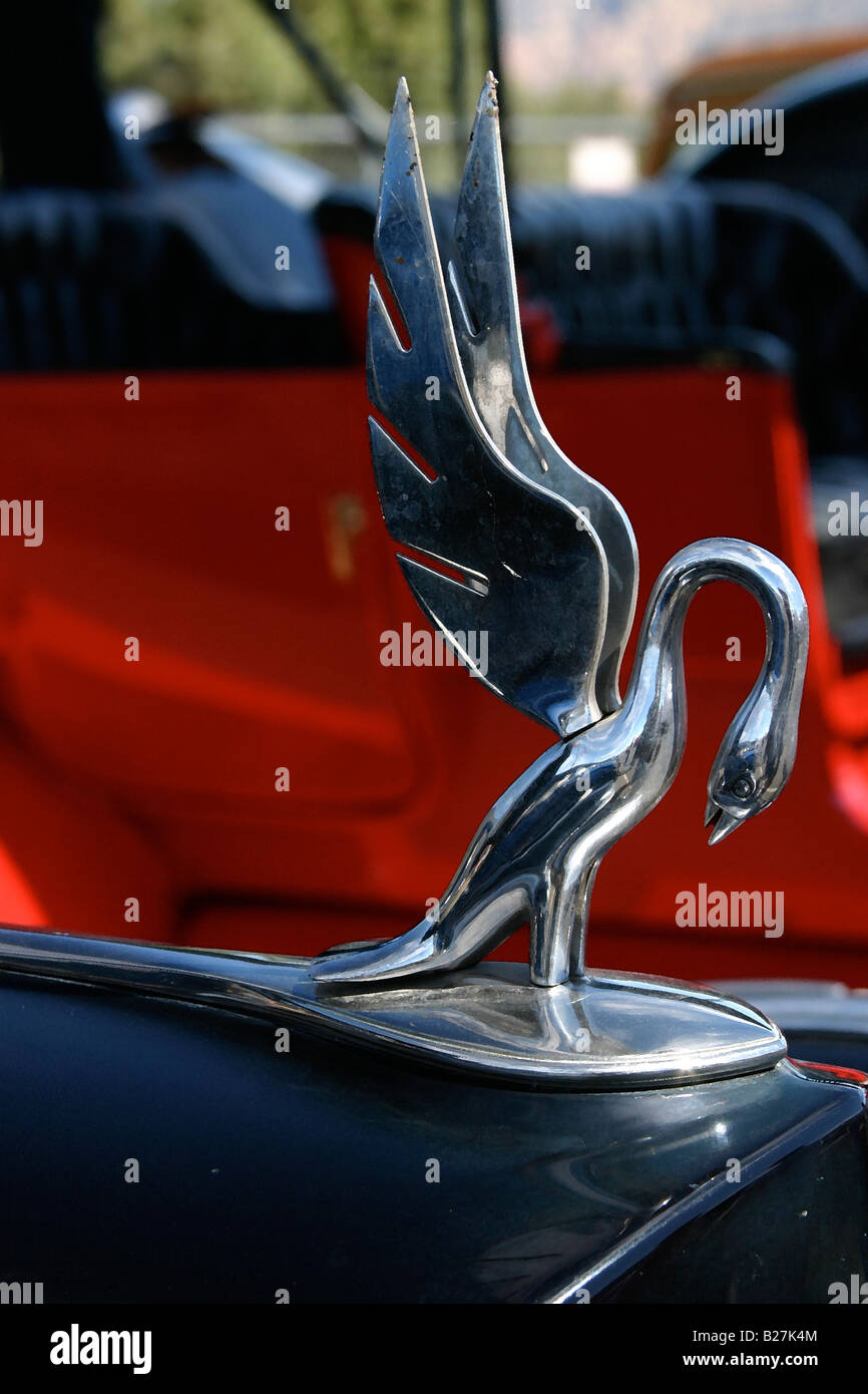 hood ornament of a swan Stock Photo Alamy
