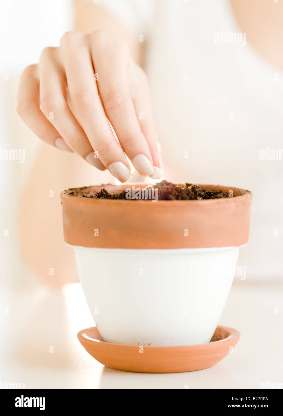 Woman planting seed in pot Stock Photo