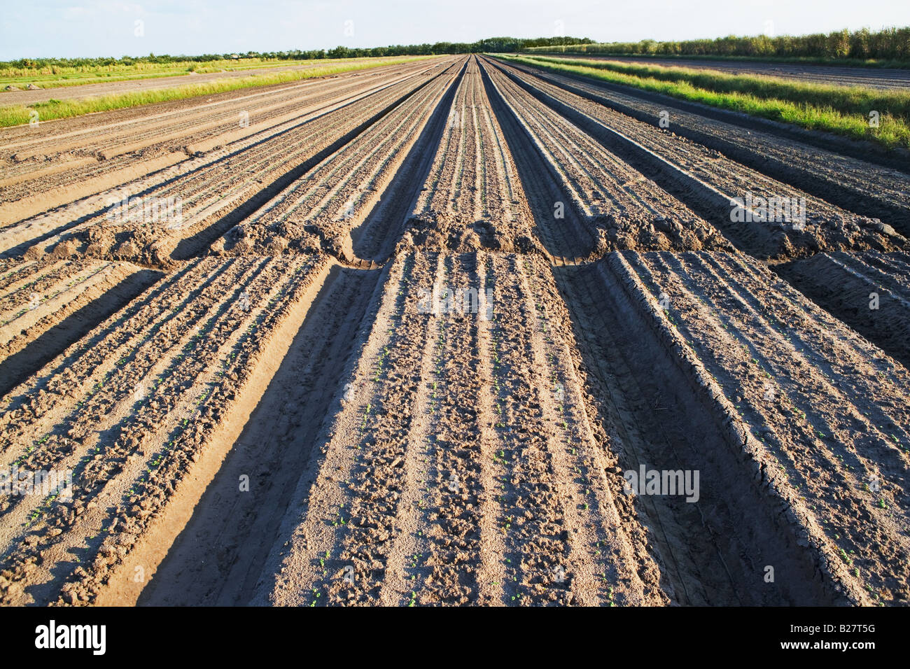 United states farmer hi-res stock photography and images - Alamy