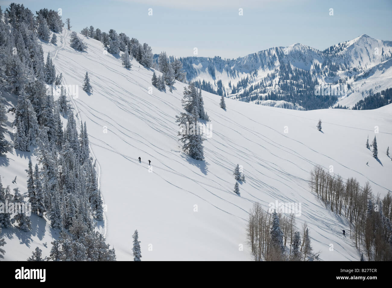 Skiers on mountain, Wasatch Mountains, Utah, United States Stock Photo