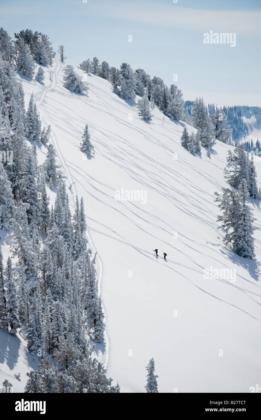 Skiers on mountain, Wasatch Mountains, Utah, United States Stock Photo