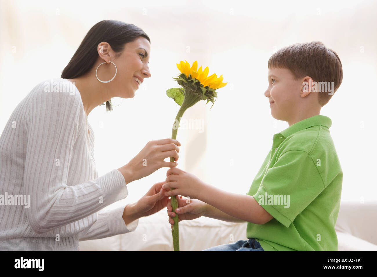 Son giving sunflower to mother Stock Photo Alamy