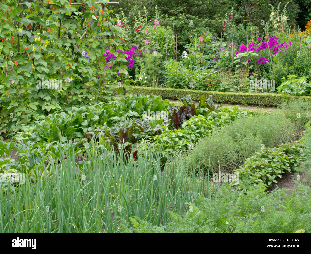 Vegetable garden hi-res stock photography and images - Alamy