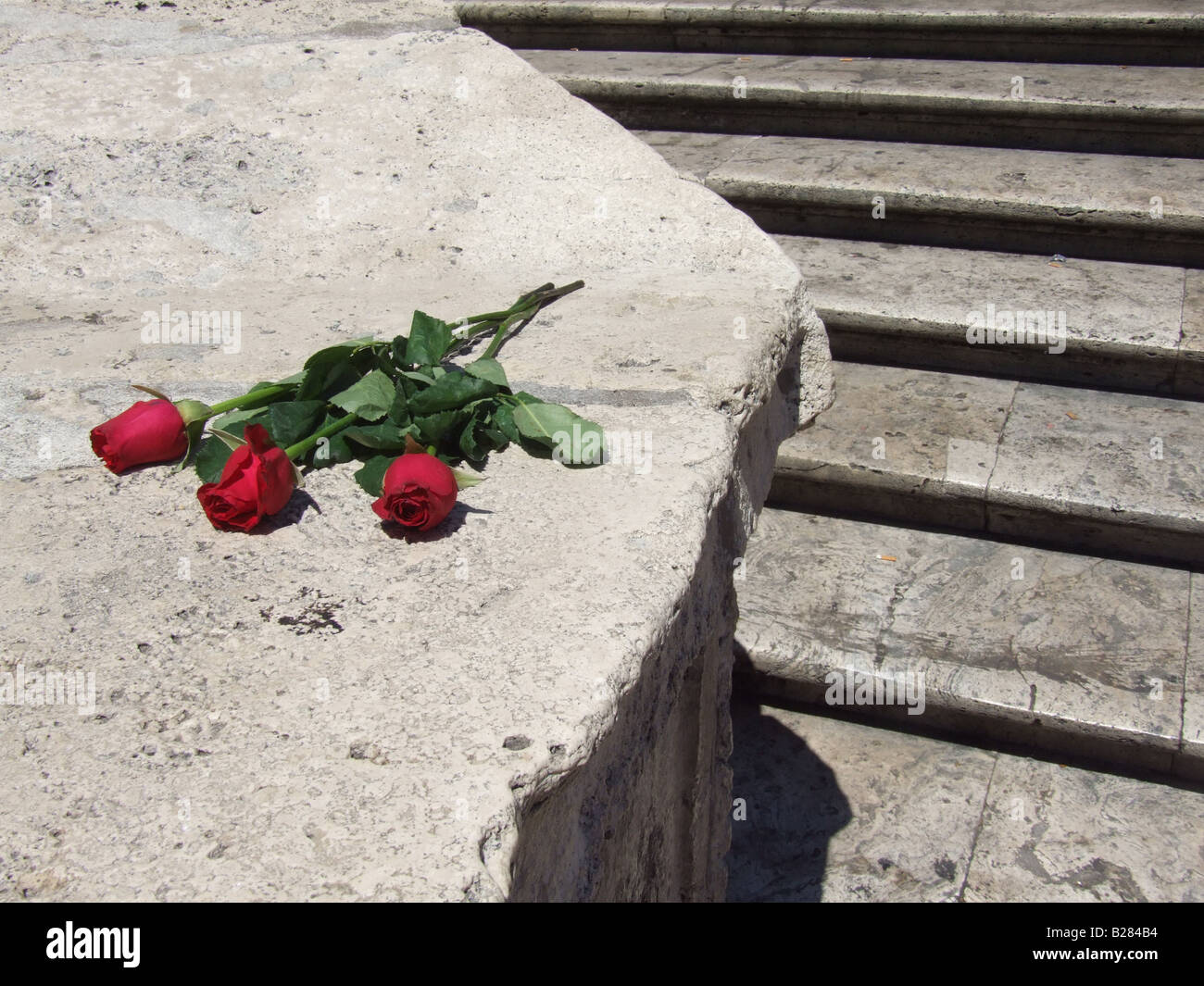 three red roses on the spanish steps in rome italy Stock Photo - Alamy
