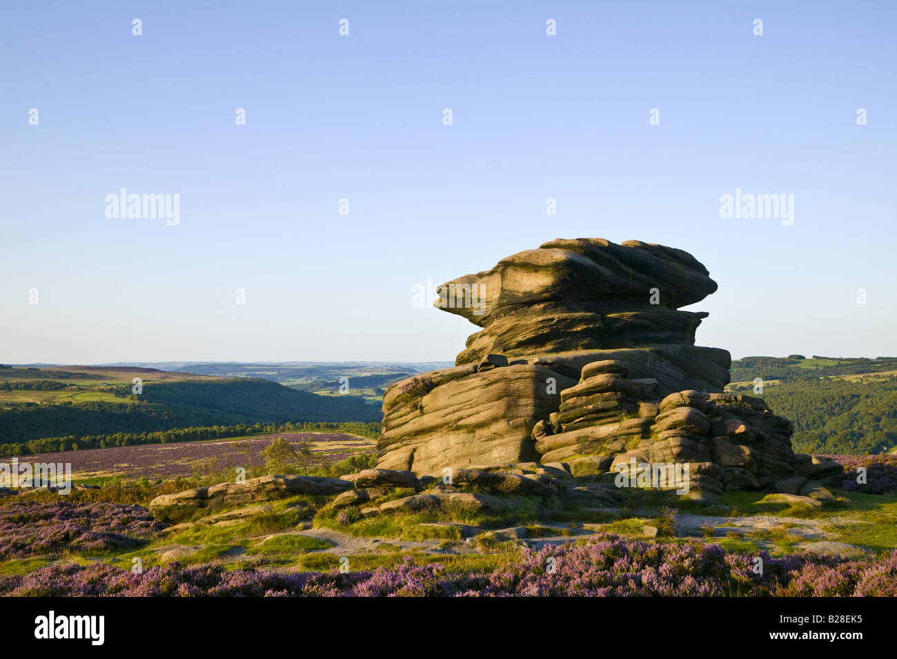 Mother Cap stone in the Peak District surrounded by pink heather Stock Photo