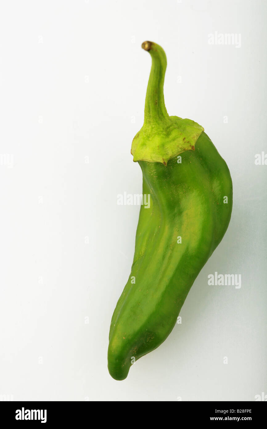 Pementos Pimiento pepper Stock Photo