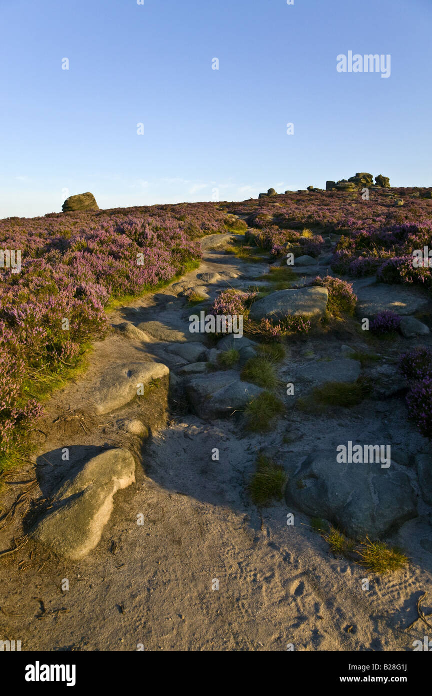 Sandy path towards Over Owler Tor in the Peak District National Park with pink heather to the side Stock Photo