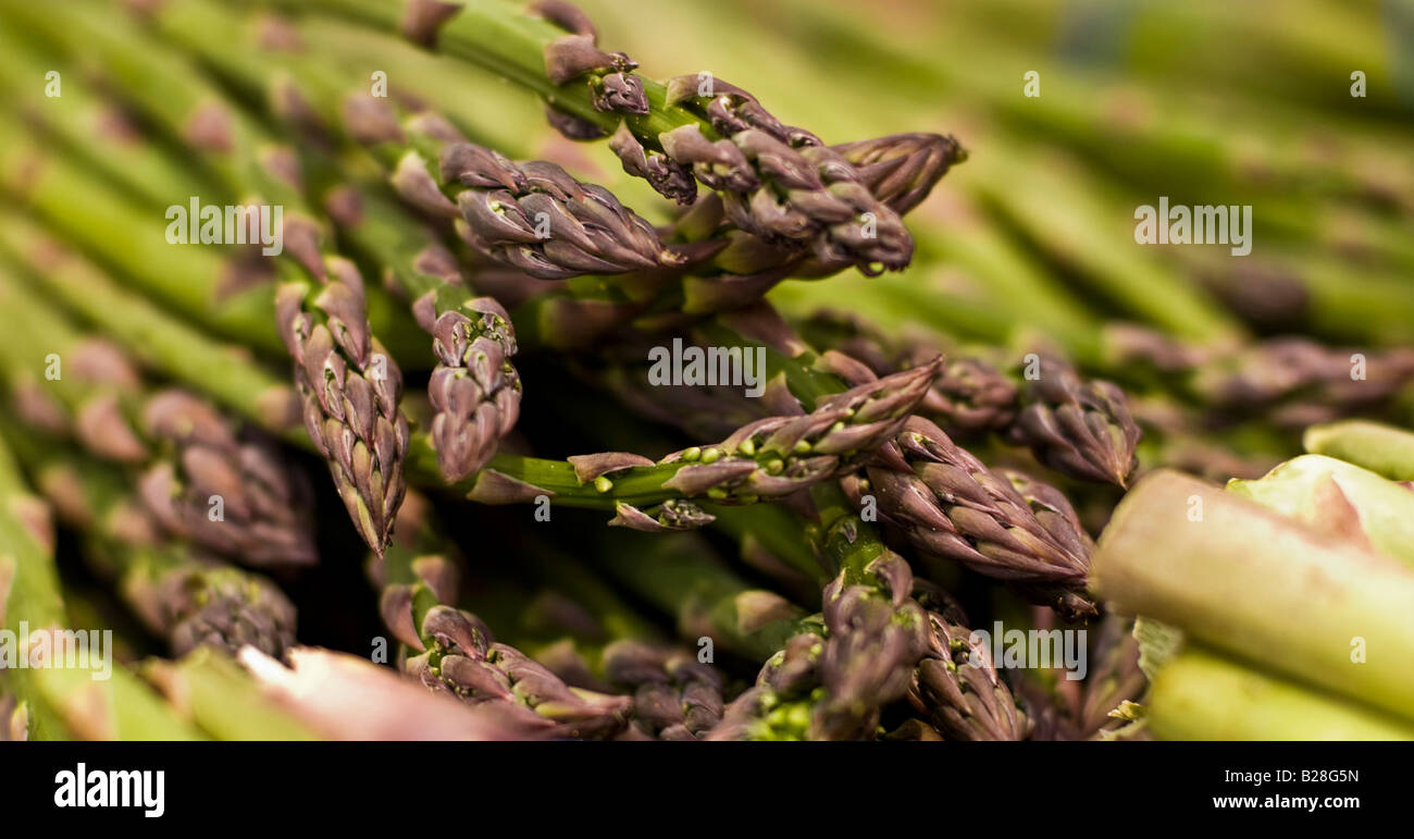 Organic asparagus on display at a farmers market Stock Photo Alamy