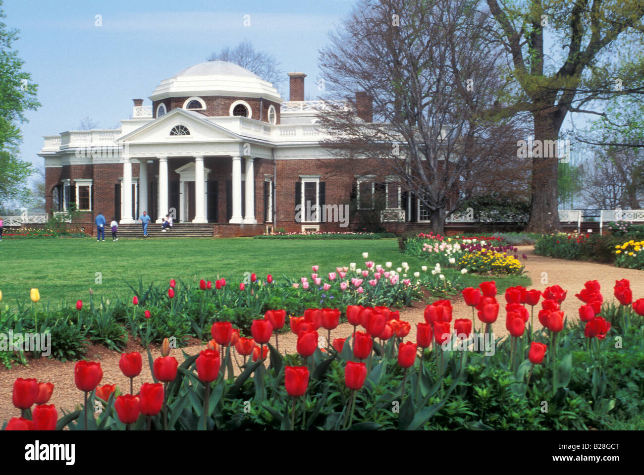 Spring tulips at Monticello Thomas Jefferson home in Charlottesville Virginia. Photograph Stock Photo