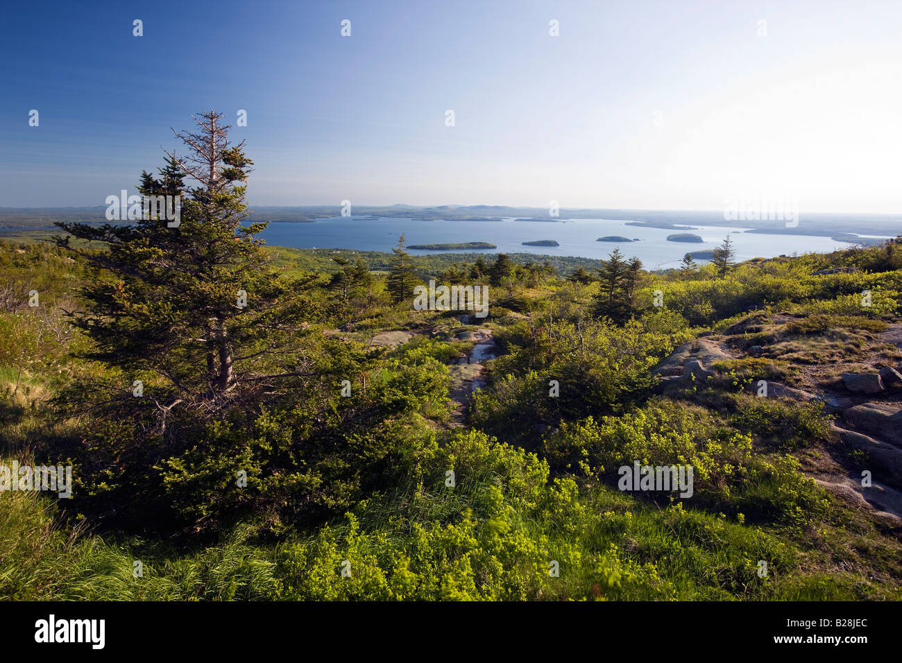 View east at sunrise from the top of Cadillac Mountain, Acadia National Park, Maine, USA Stock Photo