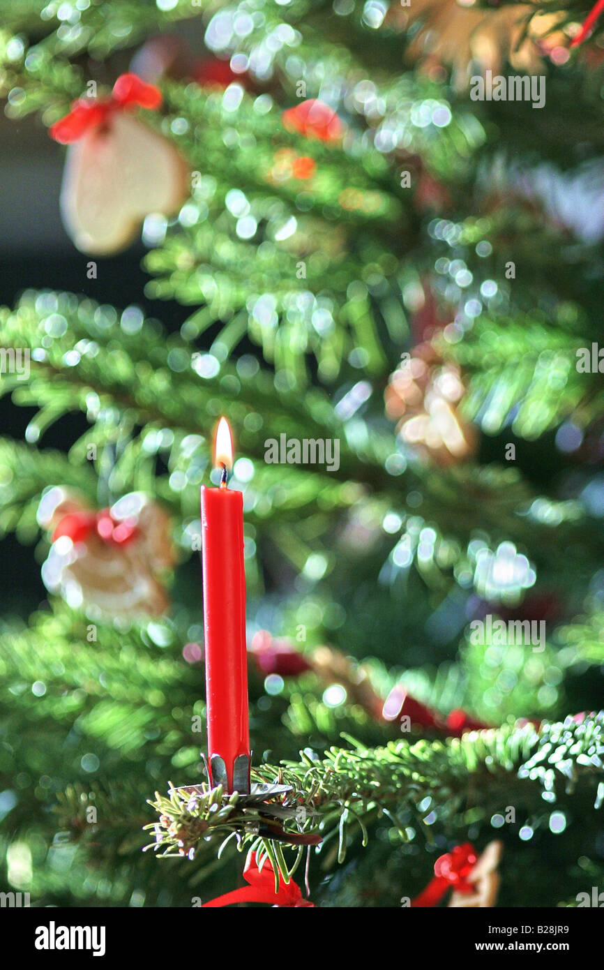 Burning candle, christmas decoration settled on a christmas tree Stock Photo