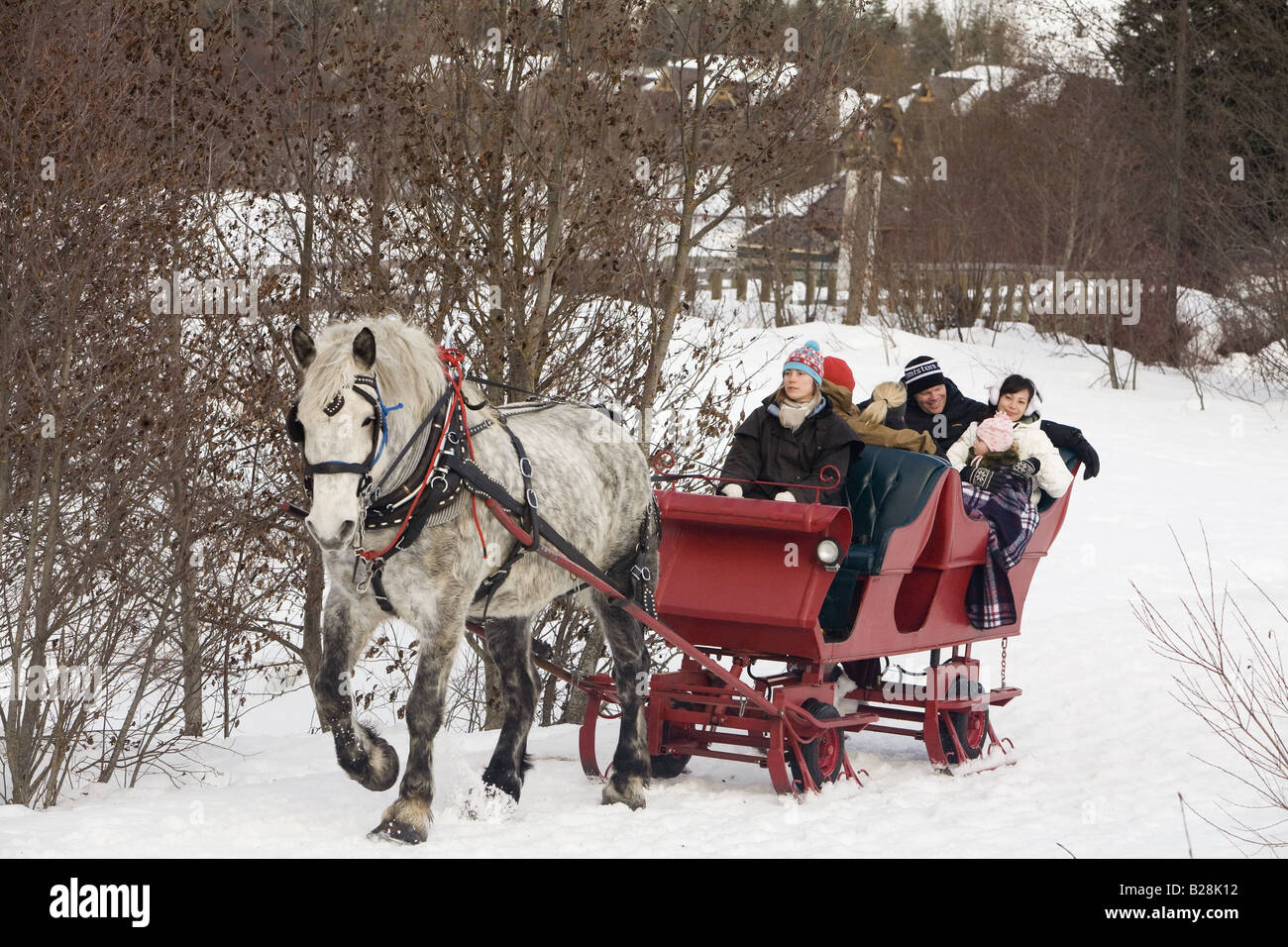 Family enjoys a sleigh ride Whistler British Columbia Canada Stock