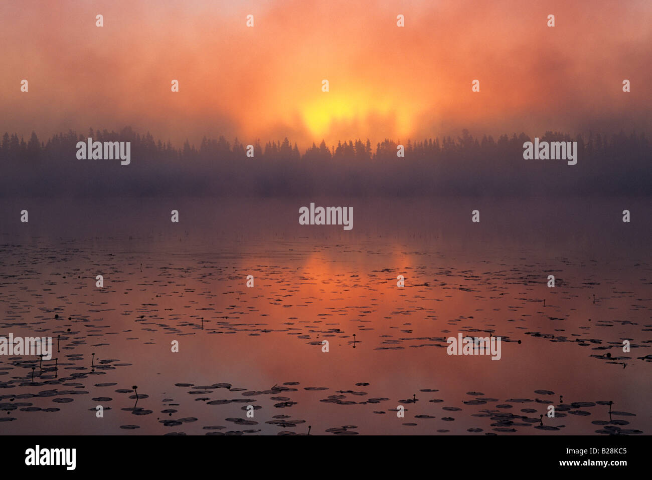 Foggy sunrise on Sand Lake, Minnesota, USA. Stock Photo