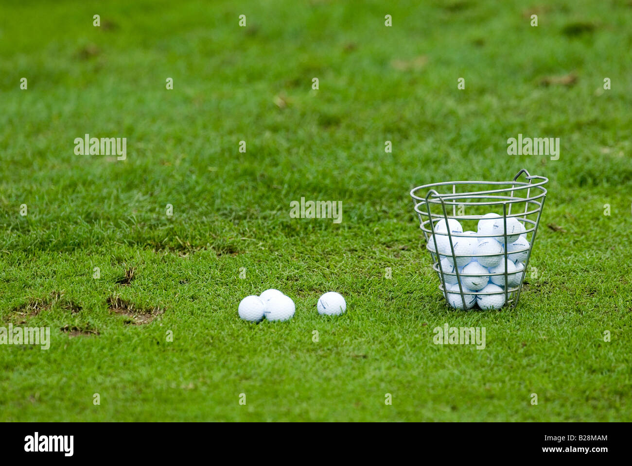 many golf balls in basket Stock Photo Alamy