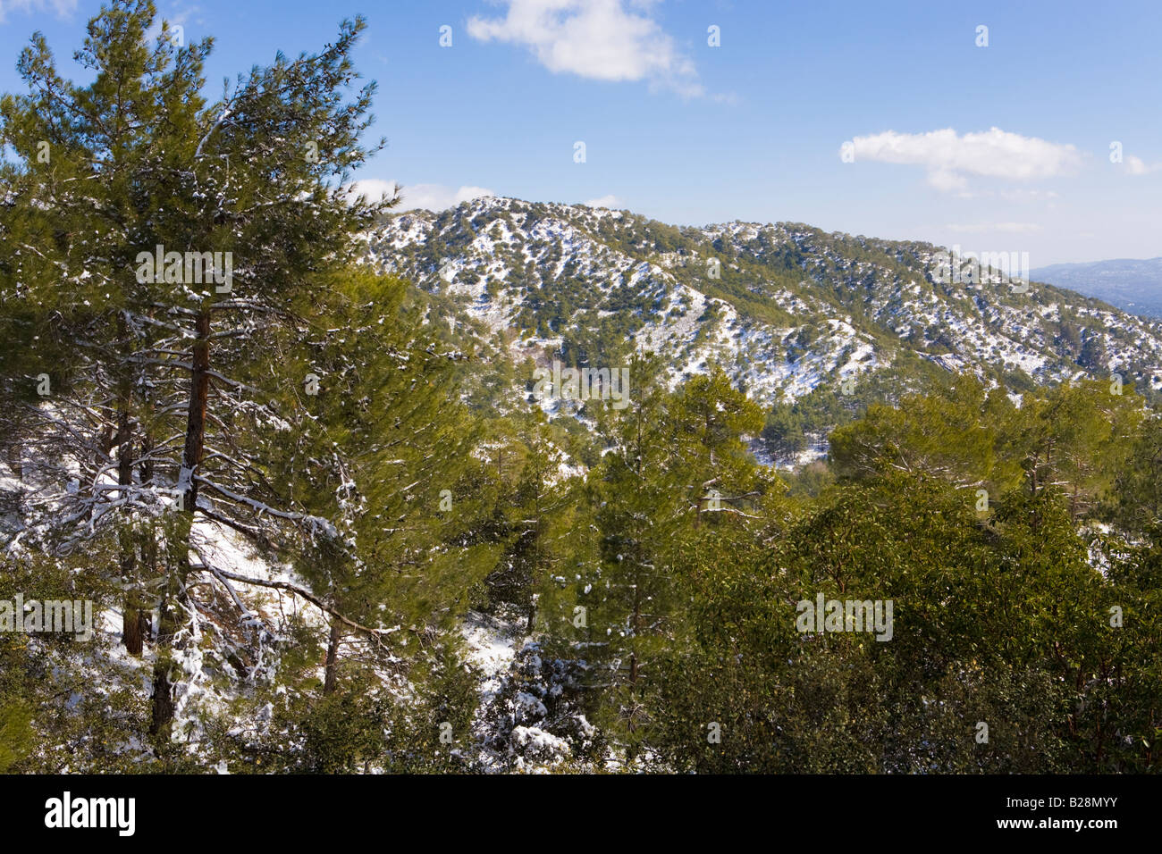 Snow on the Troodos Massif near Pano Platres, Cyprus Stock Photo