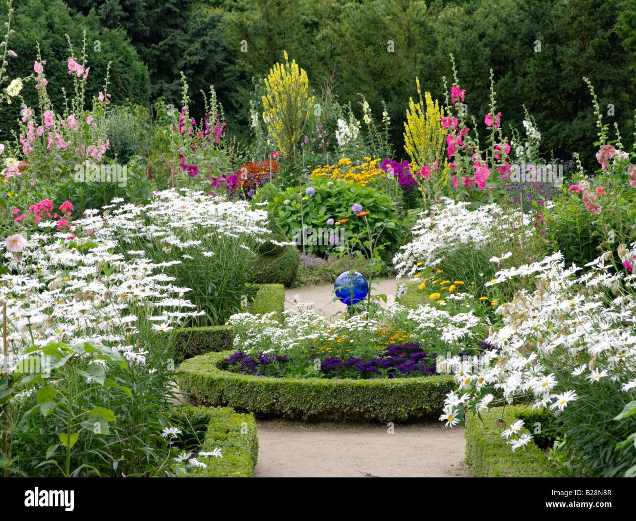 Daisies (Leucanthemum), mulleins (Verbascum), common hollyhocks (Alcea rosea) and phlox (Phlox) Stock Photo