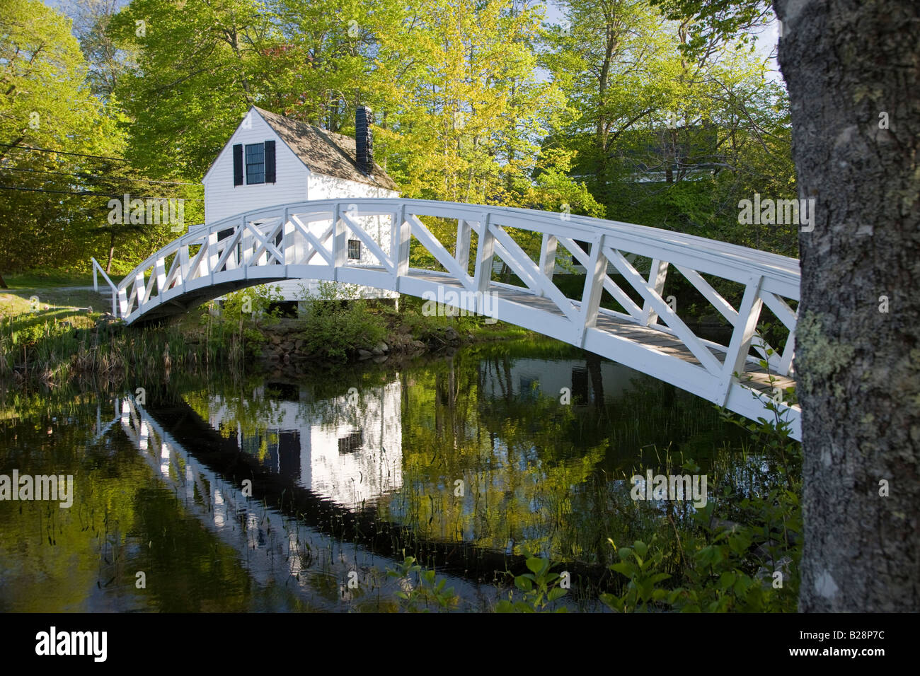 Wooden foot bridge over a pond, Somesville, ME Stock Photo