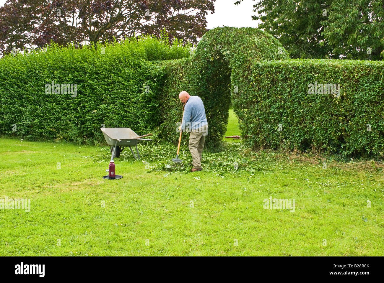 Trimming hedge collect hires stock photography and images Alamy