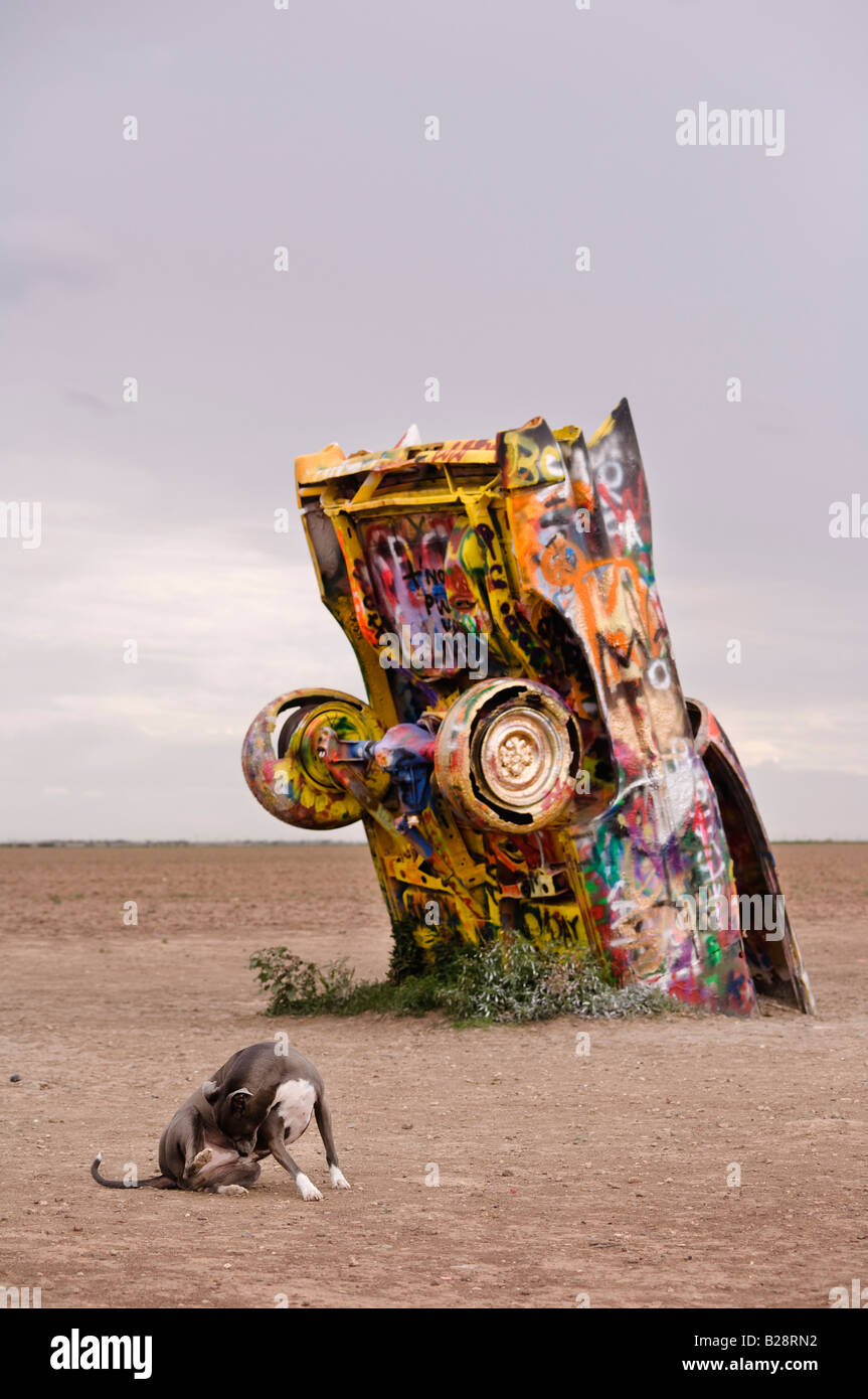 Cadillac ranch in amarillo, texas hi-res stock photography and images ...
