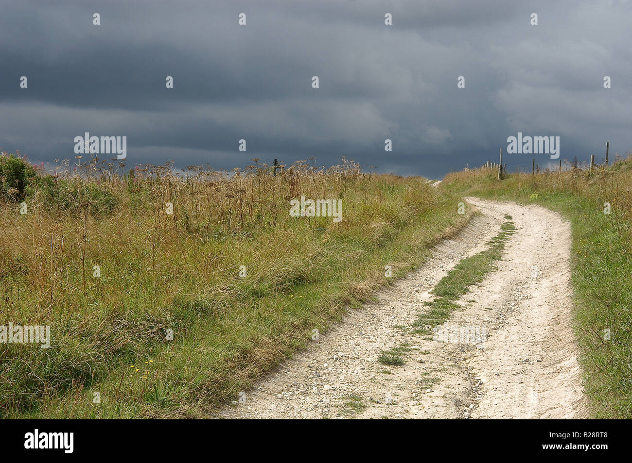 The Ridgeway Trail Stock Photo - Alamy