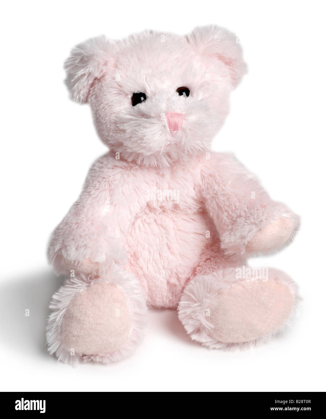 pink teddy bear Stock Photo