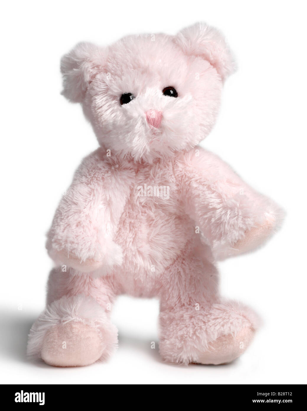 Pink teddy bear Stock Photo
