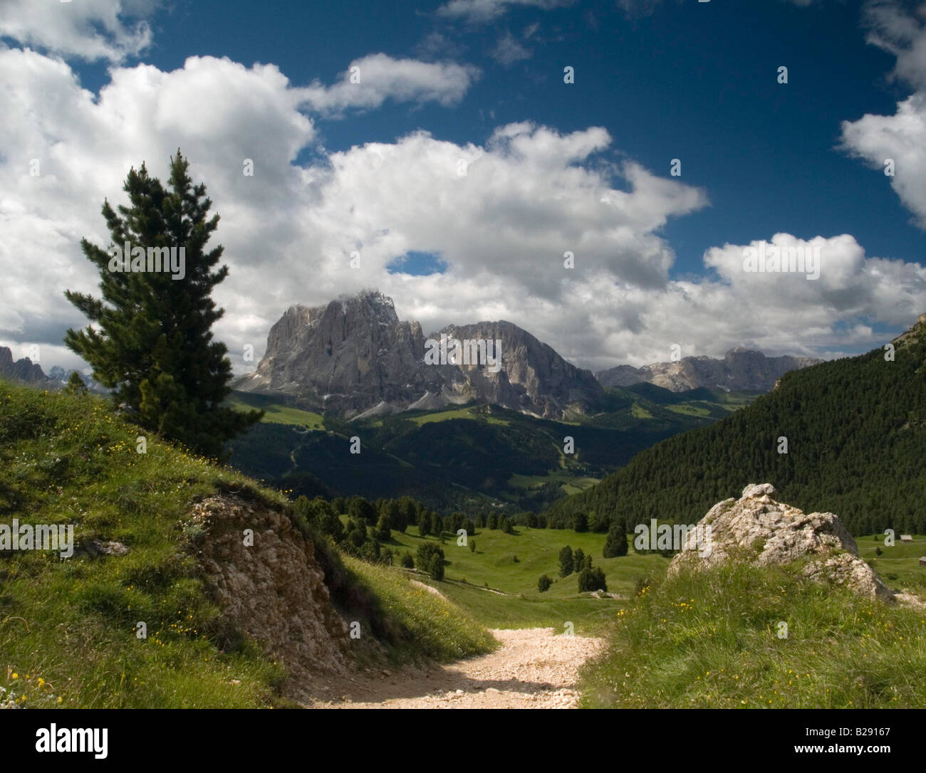 A track leads to the breathtaking mountains of the Dolomites Italy Stock Photo