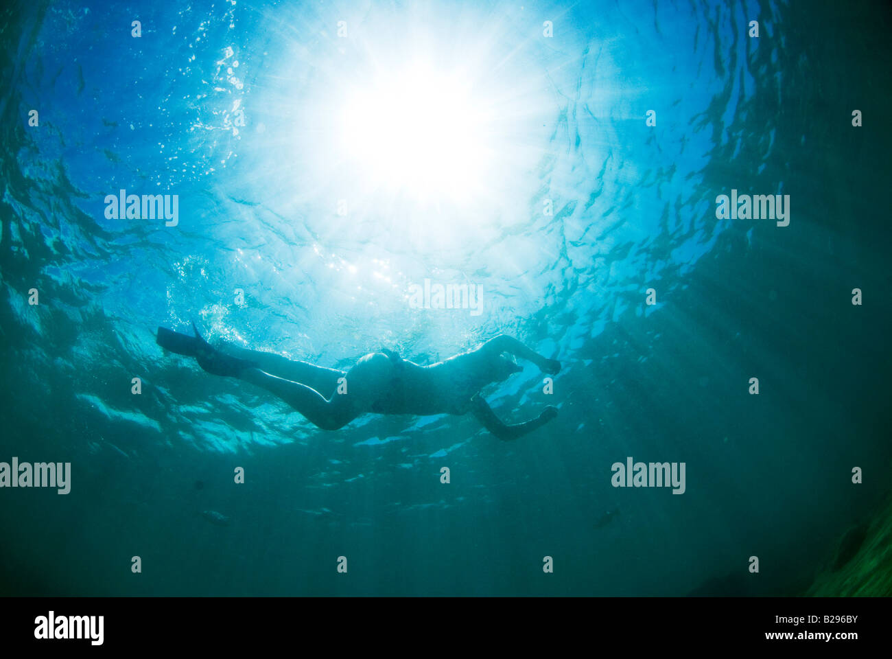 Snorkel hawaii hires stock photography and images Alamy