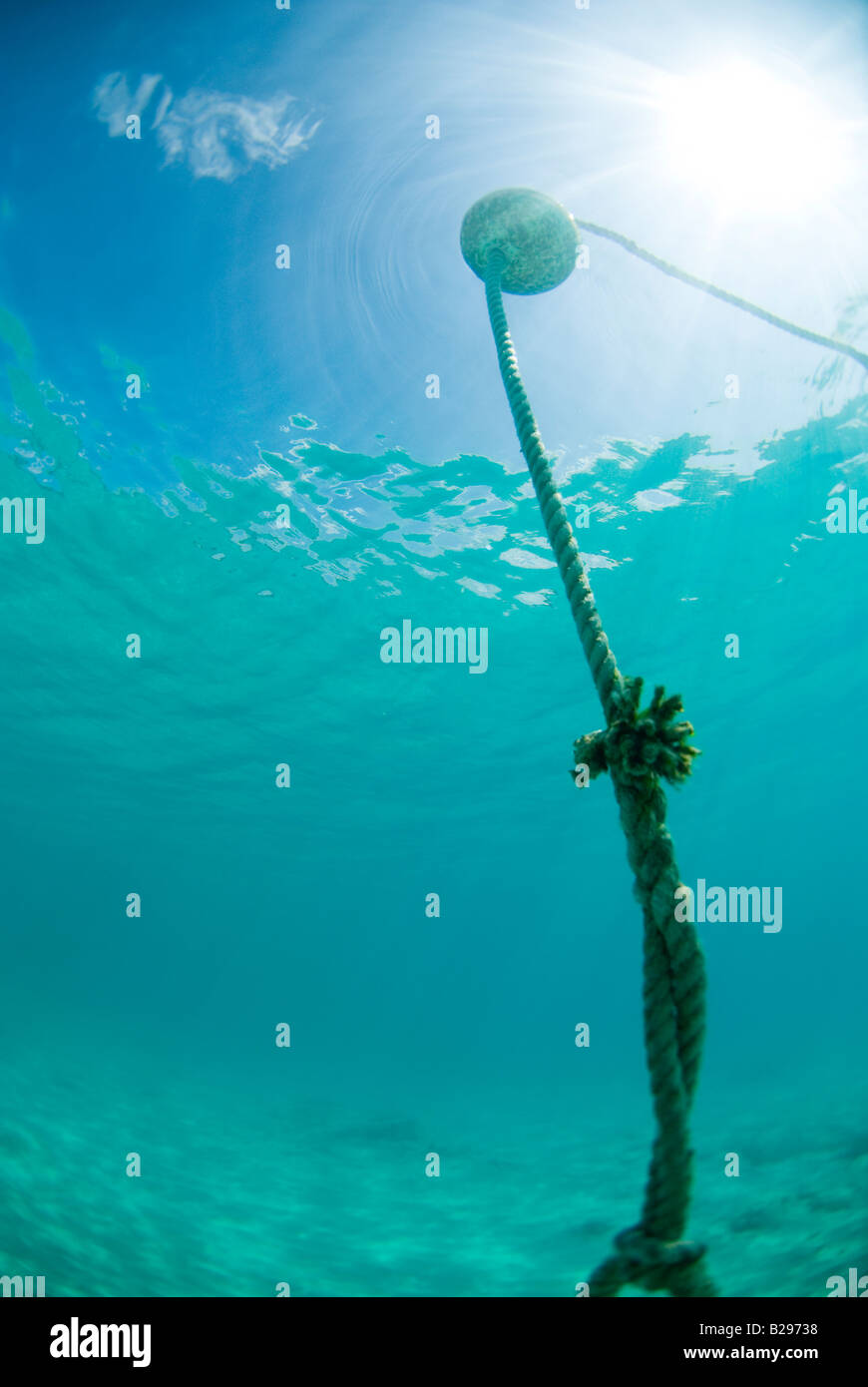 An anchor buoy underwater in Bermuda Stock Photo Alamy