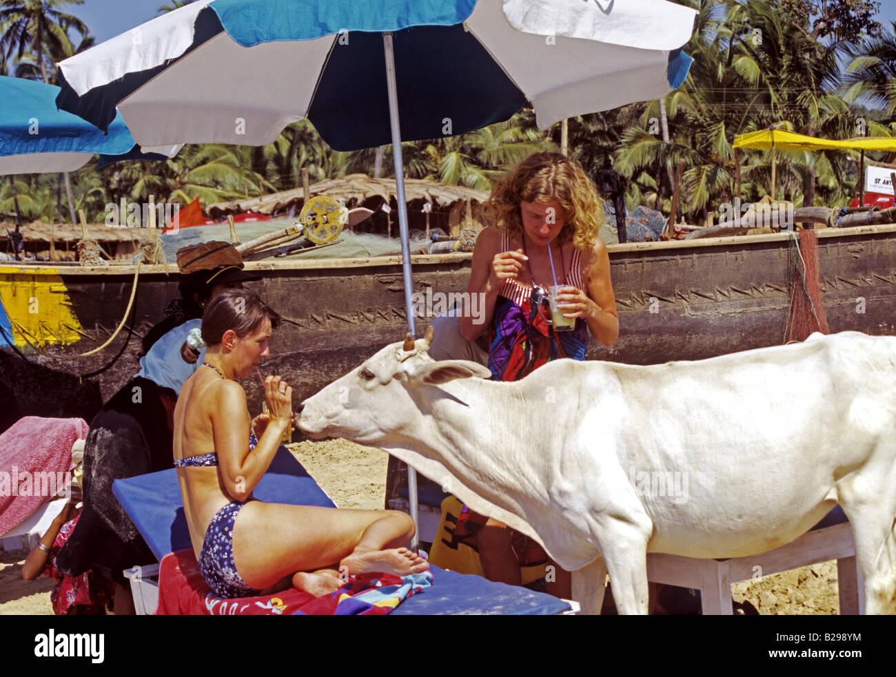 Baga Beach Goa State India Date 15 06 2008 Ref ZB548 115573 0029 COMPULSORY CREDIT World Pictures Photoshot Stock Photo