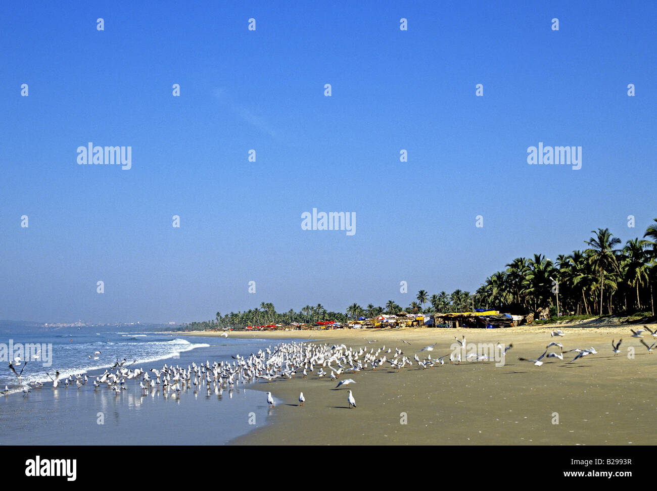 Majorda Beach Goa State India Date 15 06 2008 Ref ZB548 115573 0113 COMPULSORY CREDIT World Pictures Photoshot Stock Photo