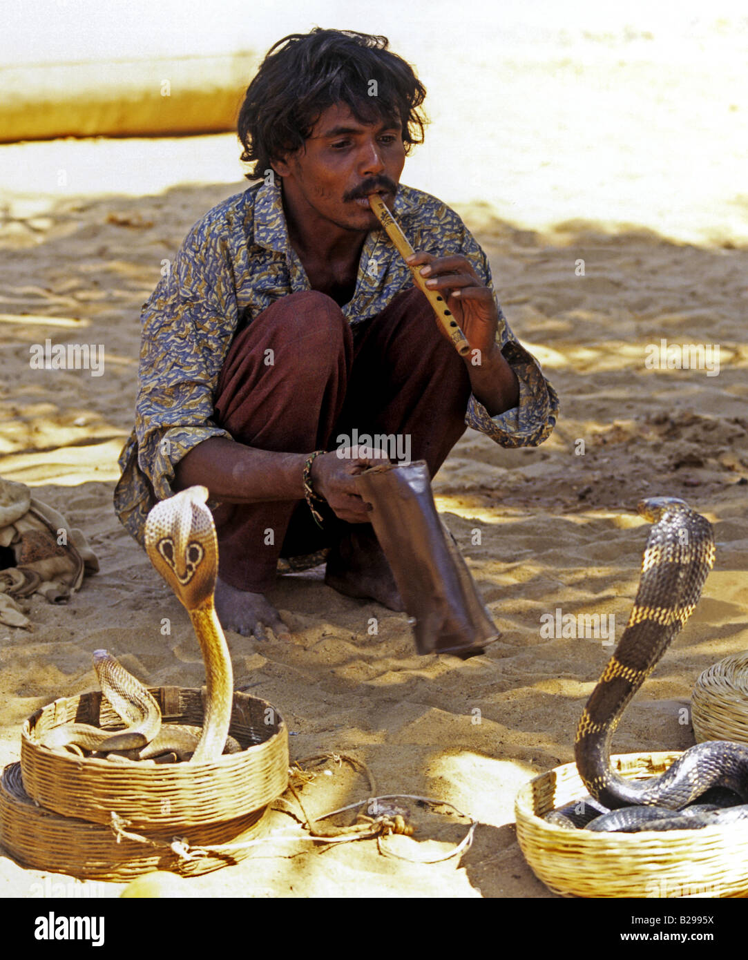 Snake charmer Goa State India Date 15 06 2008 Ref ZB548 115573 0156 COMPULSORY CREDIT World Pictures Photoshot Stock Photo